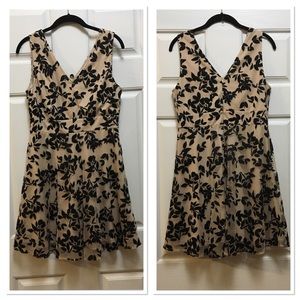 Altar’d State Mesa Marina Nude/Black Velvet Dress